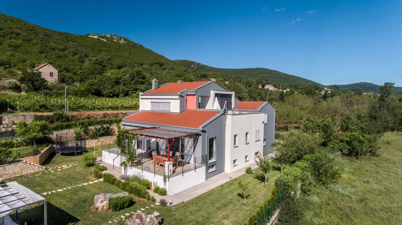 Luxury Villa Nadalina-Dicmo 杜格普利耶 外观 照片
